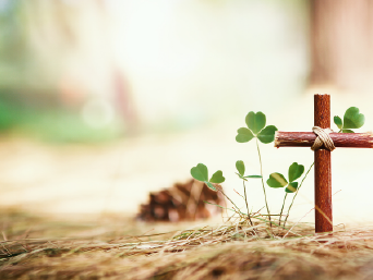 �¶��� ������ ����