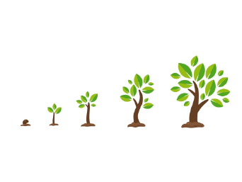 �¶��� ������ ����