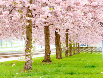 �¶��� ������ ����