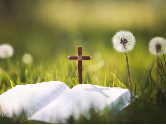 �¶��� ������ ����