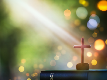 �¶��� ������ ����