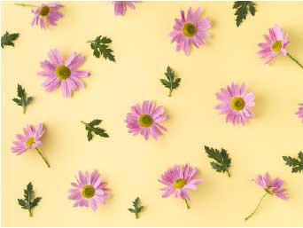 �¶��� ������ ����