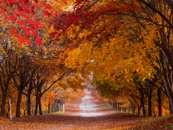 �¶��� ������ ����