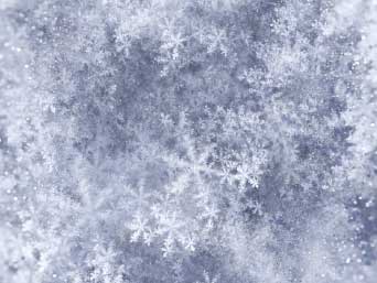 �¶��� ������ ����