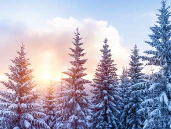 �¶��� ������ ����