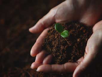 �¶��� ������ ����