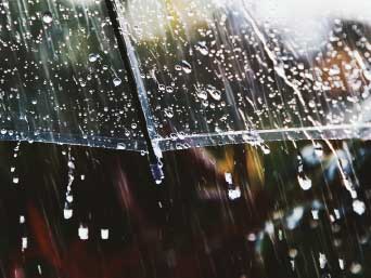 �¶��� ������ ����