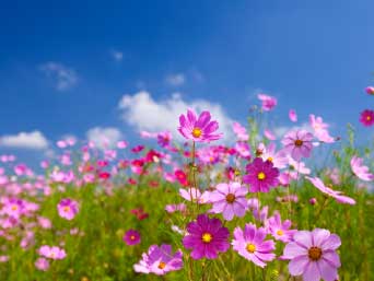 �¶��� ������ ����