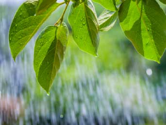 �¶��� ������ ����