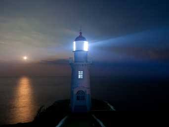 �¶��� ������ ����