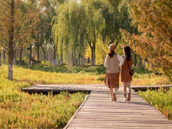 �¶��� ������ ����