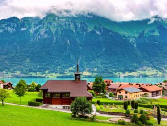 �¶��� ������ ����