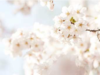 �¶��� ������ ����