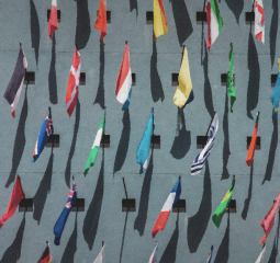 �¶��� ������ ����