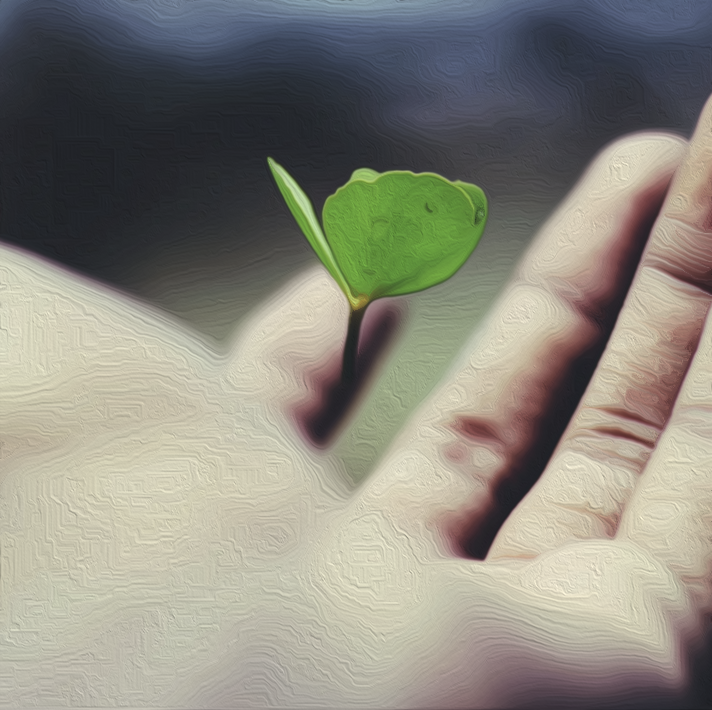 �¶��� ������ ����