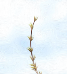 �¶��� ������ ����