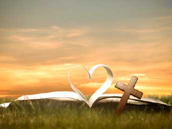 �¶��� ������ ����