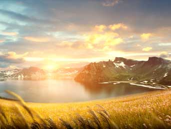 �¶��� ������ ����