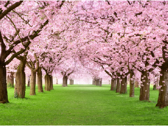 �¶��� ������ ����