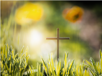 �¶��� ������ ����