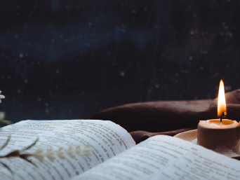 �¶��� ������ ����