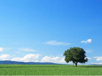 �¶��� ������ ����