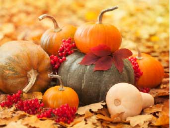 �¶��� ������ ����