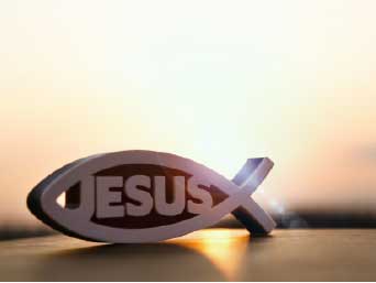 �¶��� ������ ����