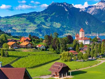 �¶��� ������ ����